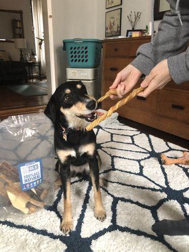 Customer photo review of Surprise Me Hooman Auto renew (Ships every 3 Months)