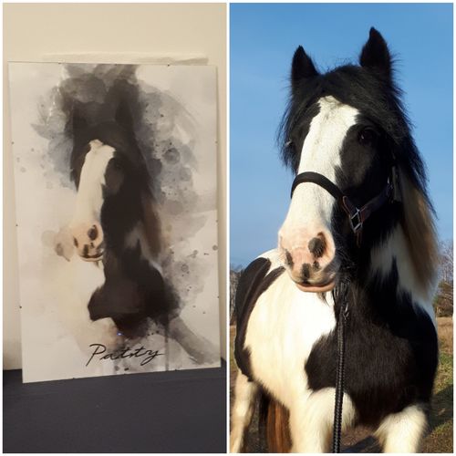 Customer photo review of Wasserfarben