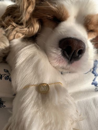 Customer photo review of Gold Dipped Lineart Love Armkette