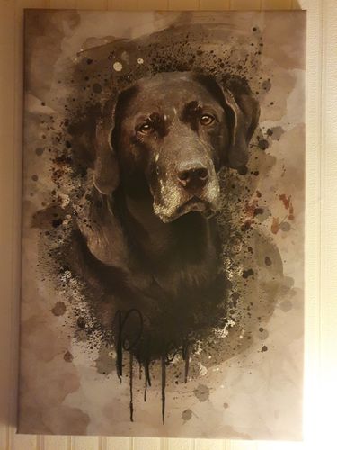 Customer photo review of Aquarell