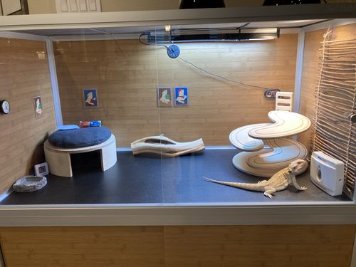 Customer photo review of 4'x2'x2' PVC Panel Reptile Enclosure by Zen Habitats