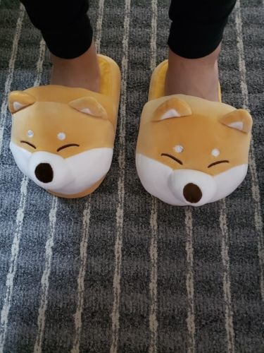 Customer photo review of Shiba Slippers