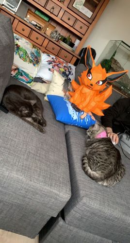 Customer photo review of Kyuubi Kurama