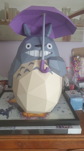 Customer photo review of Totoro