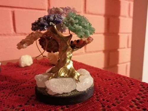 Customer photo review of Bonsai de 7 piedras
