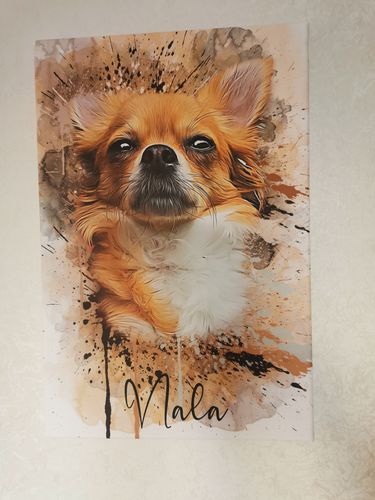 Customer photo review of Graffiti