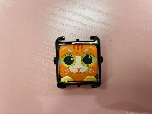 Customer photo review of Ginger Cat- Limited Edition