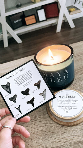 Customer photo review of Original Shark Tooth Candle BLEU