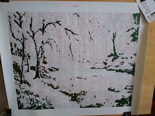 Customer photo review of Río del bosque