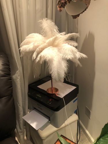 Customer photo review of The Feather & Rose LED Table Lamp