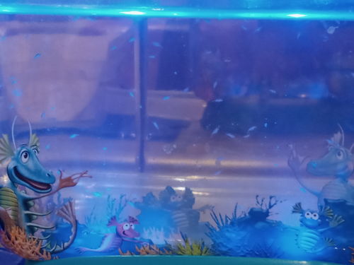 Customer photo review of Aqua Dragons Mask