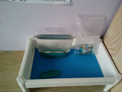 Customer photo review of Aqua Dragons Refill - Eggs