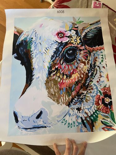 Customer photo review of Vaca Hipster