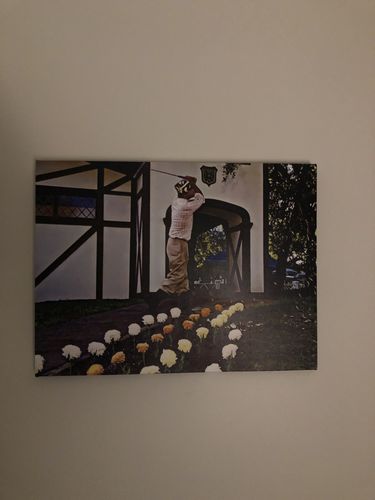 Customer photo review of Planes Trains & Automobiles Going Home Canvas Sets