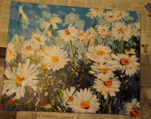 Customer photo review of Malen nach Zahlen - Gänseblümchen