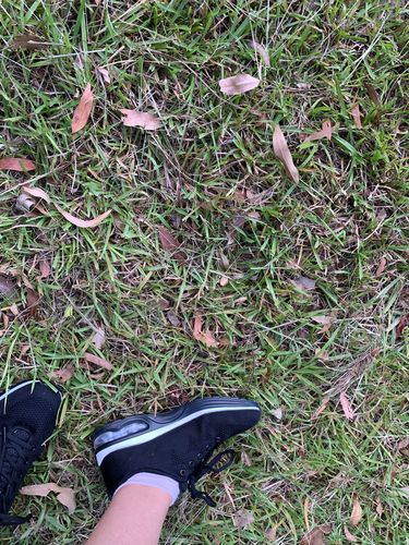 Customer photo review of Aero Step