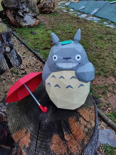 Customer photo review of Totoro