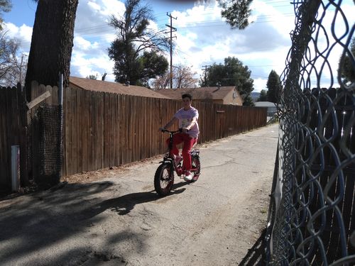 Customer photo review of VTUVIA SF20 20 Inch Folding Fat Tire Electric Bike, 750W Motor, 48V 13AH Removable Battery