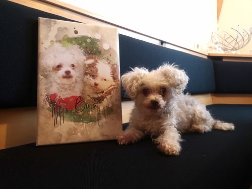 Customer photo review of Aquarell