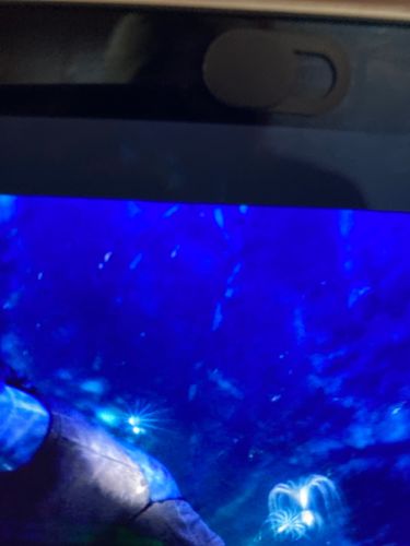 Customer photo review of Anti-Spy Universal Metal Webcam Privacy Cover WebCam Cover Magnet Slider Camera Cover For Laptop iPad PC Macbook Tablet