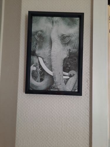 Customer photo review of Tableau Éléphant Ethnique N&B