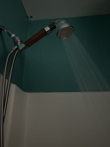 Customer photo review of The Best Eco-Friendly Shower Head