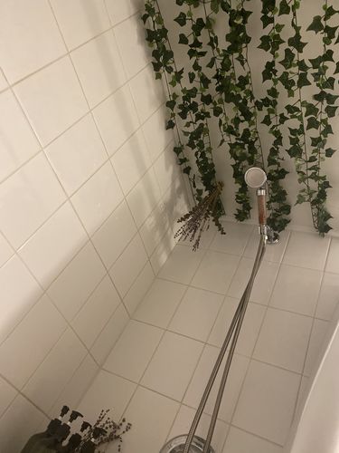 Customer photo review of The Best Eco-Friendly Shower Head