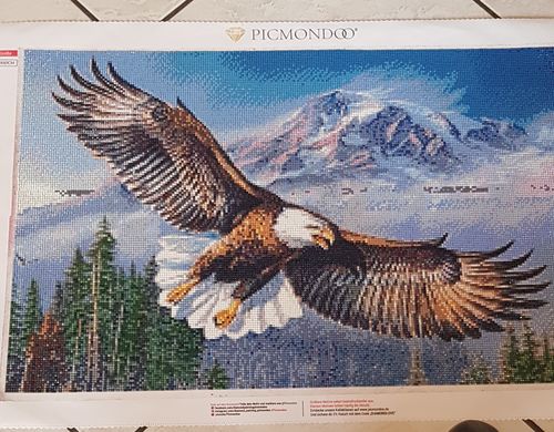 Customer photo review of Diamond Painting - Adler der Berge