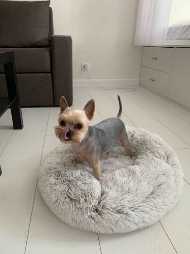 Customer photo review of Kuscheliges ergonomisches Hundebett "Wolke 7"