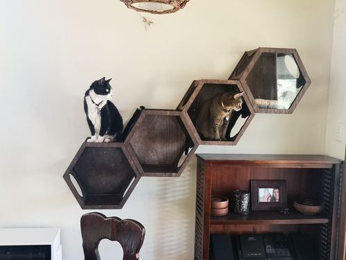 Customer photo review of Cat Furniture Shelf Color Dark Walnut