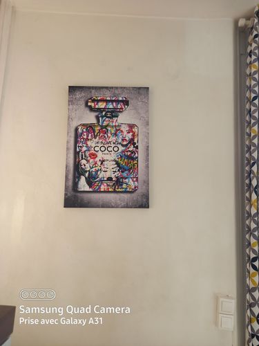 Customer photo review of Tableau In Love With Coco