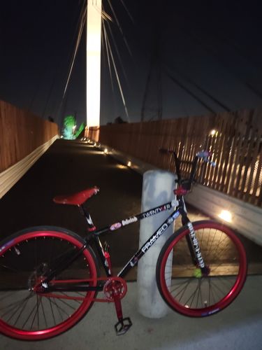 Customer photo review of Twenty9er BMX Bike