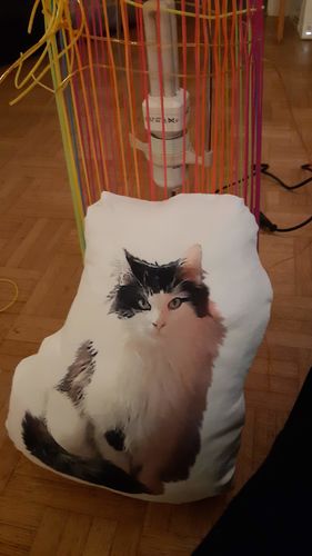 Customer photo review of Coussin Personnalisé Animal