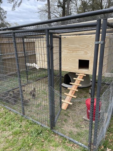 Customer photo review of GrubTerra Dried Larvae