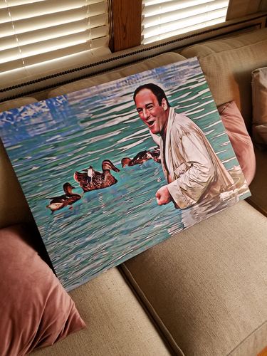 Customer photo review of Mr. S & Ducks Canvas Sets