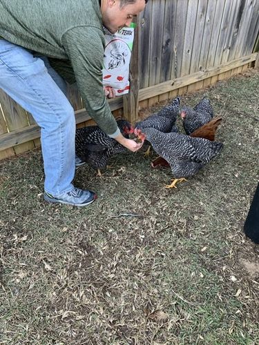 Customer photo review of GrubTerra Dried Larvae