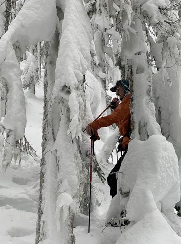 Customer photo review of Merino Tech Tee - Grays
