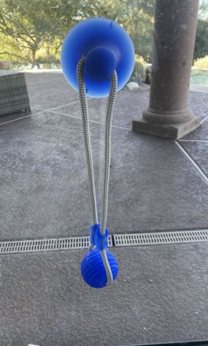 Customer photo review of Solvani Dog Pull Toy