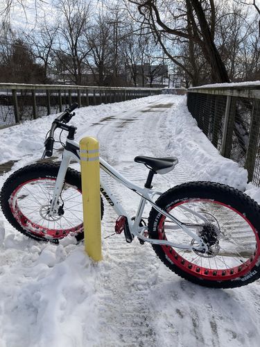 Customer photo review of Wolftrax Alloy Fat Bike 26"