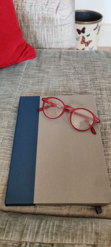 Customer photo review of Traditional Two Tone iPad Case