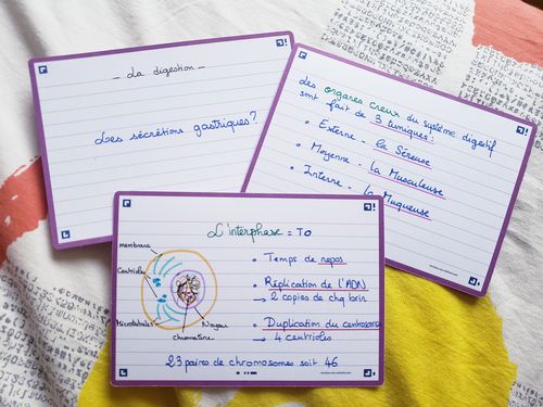 Avis photo d'un client sur Flashcards FLASH 2.0 OXFORD # 80 cartes 10,5 x 14,8 cm - ligné