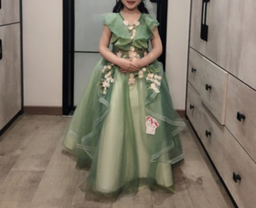Customer photo review of Vintage Elegant Embroidery Girl Puffy Green Princess Dresses