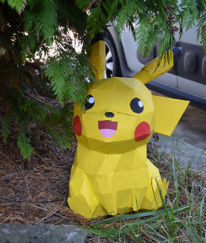 Customer photo review of Pikachu