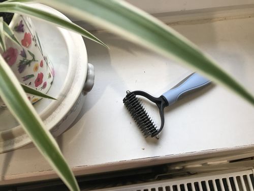 Customer photo review of Peigne de Toilettage Professionnel PuppySafe™