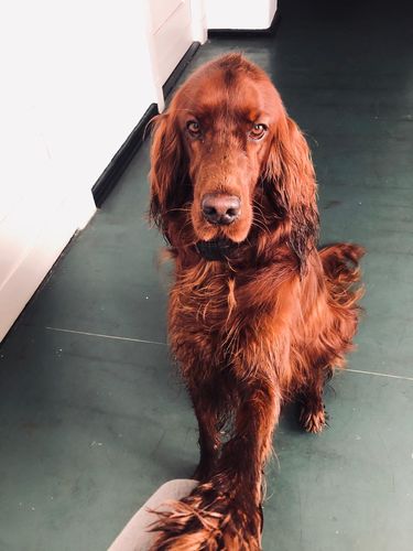 Customer photo review of Rosé Gold Dipped Lineart Love Halskette