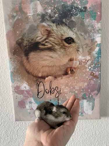 Customer photo review of Aquarell