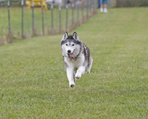Customer photo review of Meal Variety Pack