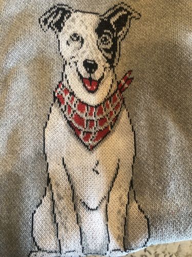 Customer photo review of Plain Dog - Custom Knitted Sweater