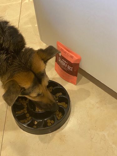 Customer photo review of Wally’s Salmon N’ Rice Meal Pouch