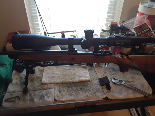Customer photo review of Sniper KT 12-60X60 SAL Rifle Scope 35mm Tube Side Parallax Adjustment Glass Etched Reticle Red Green Illuminated with Scope Rings